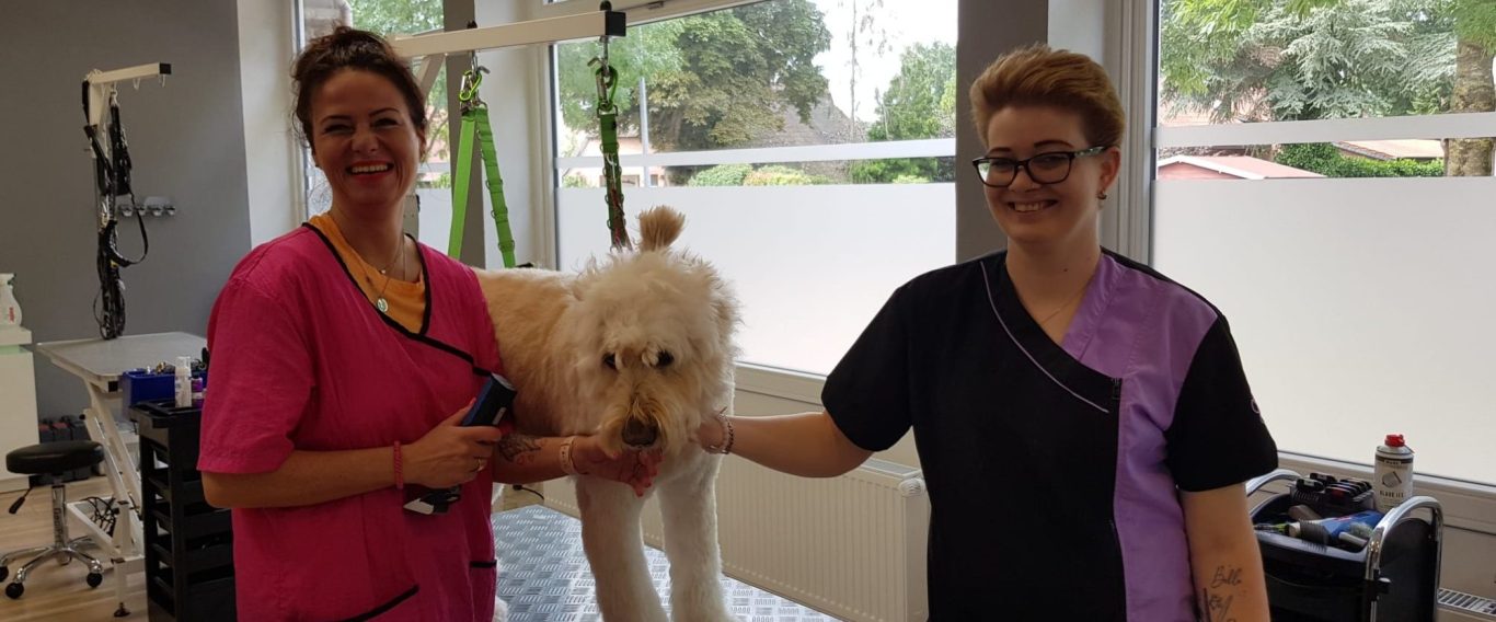 Zwei Tierpflegerinnen stehen mit einem Hund in einem Hundesalon.