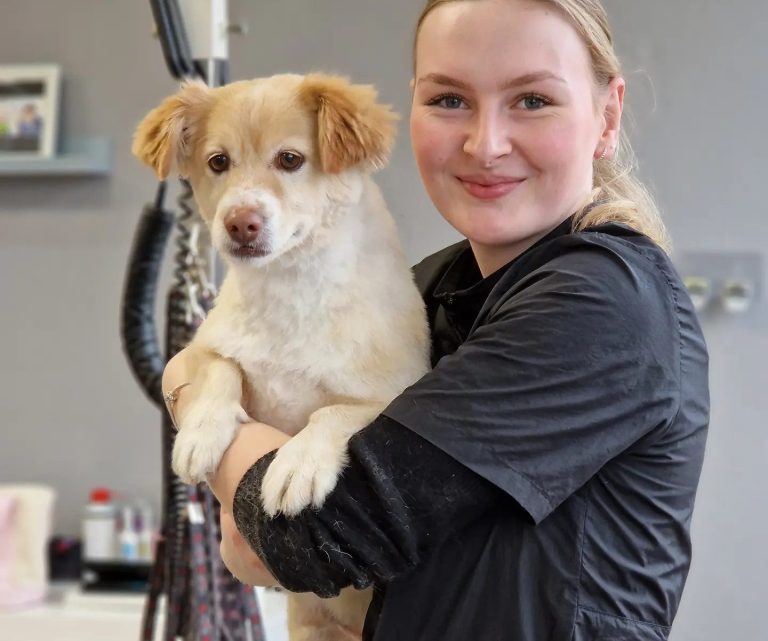 Frau hält einen kleinen Hund in der Arm, lächelt in einem Hundefriseursalon.