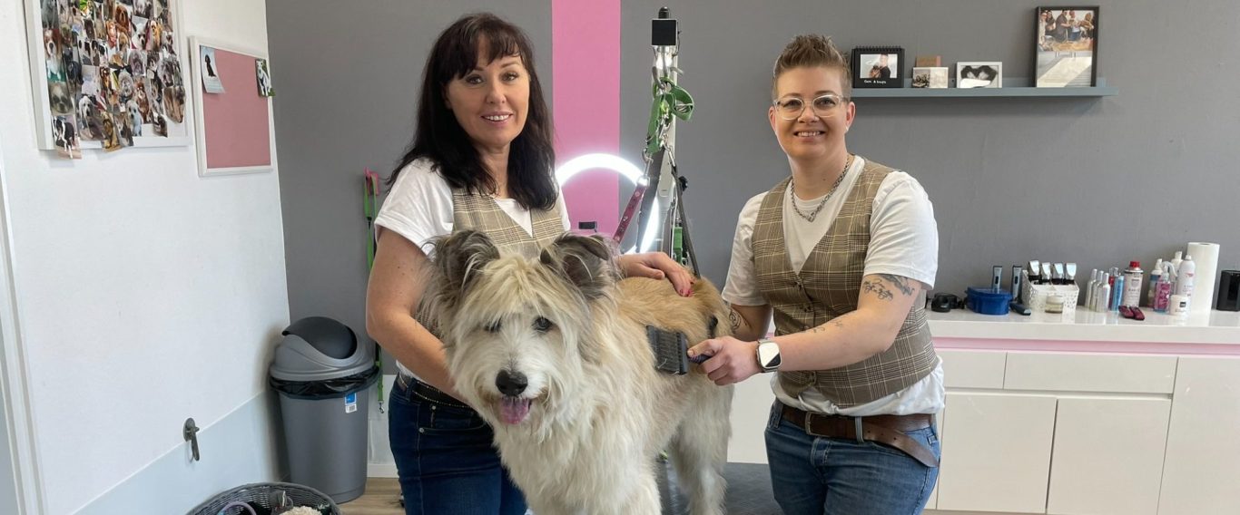 Zwei Frauen groomen einen großen Hund in einem modernen Friseursalon für Tiere.