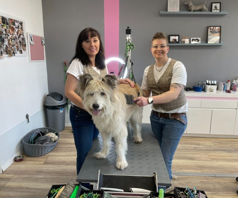 Zwei Frauen frisieren einen großen, grauen Hund in einem modernen Friseursalon.
